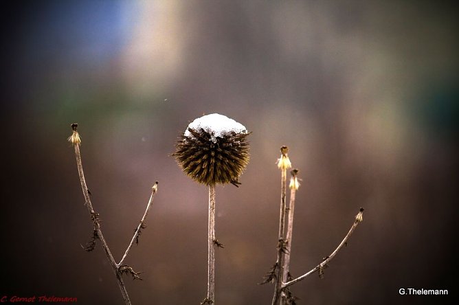 Wetterbild (Foto: Gernot Thelemann) Wetterbild (Foto: Gernot Thelemann)
