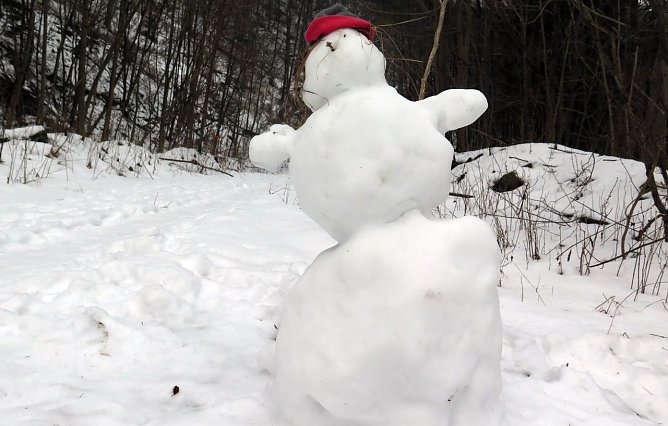 Trauriger Geselle (Foto: privat) Trauriger Geselle (Foto: privat)