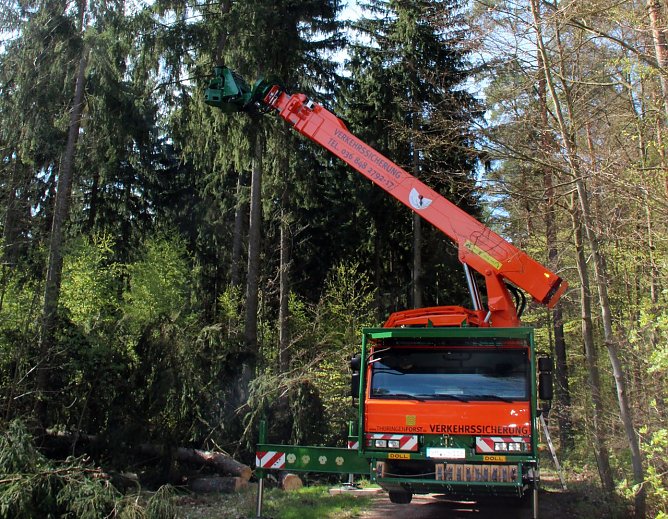 Doll Tree Trimmer im Einsatz (Foto: Th&uuml;ringenForst)