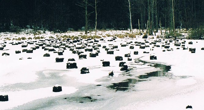 Winterlicher See in Limlingerode (Foto: Archiv Kneffel)