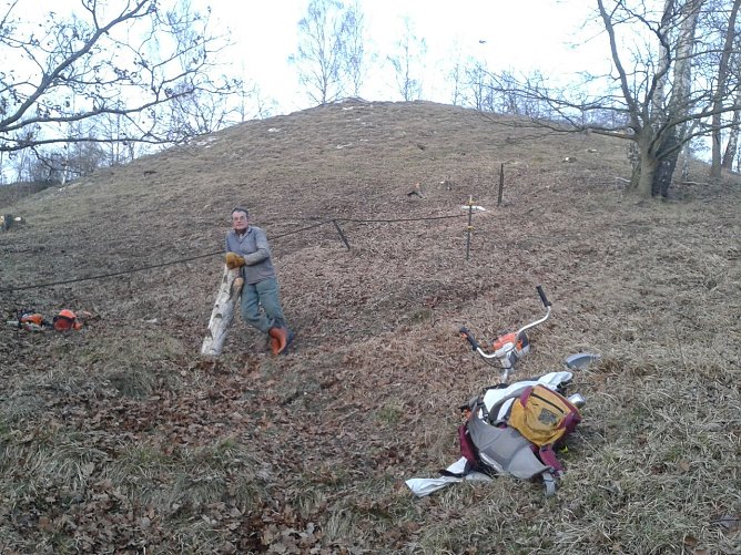 BUND-Kreisverband sch&uuml;tzt Bunte Erdflechten (Foto: Bodo Schwarzberg)