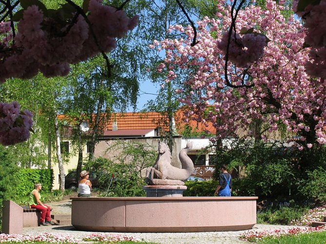 Der Nordh&auml;user Meerpferdchenbrunnen (Foto: Pressestelle Stadt Nordhausen)