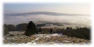 Vogelstimmenwanderung im Gipskarst (Foto: Firouz Vladi)