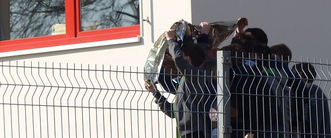 Sonnengucker (Foto: nnz)