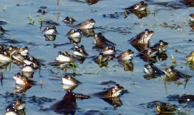 Tausende werden unterwegs sein (Foto: L. Schubert)