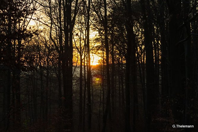 Wetter-Bild (Foto: Gernot Thelemann)