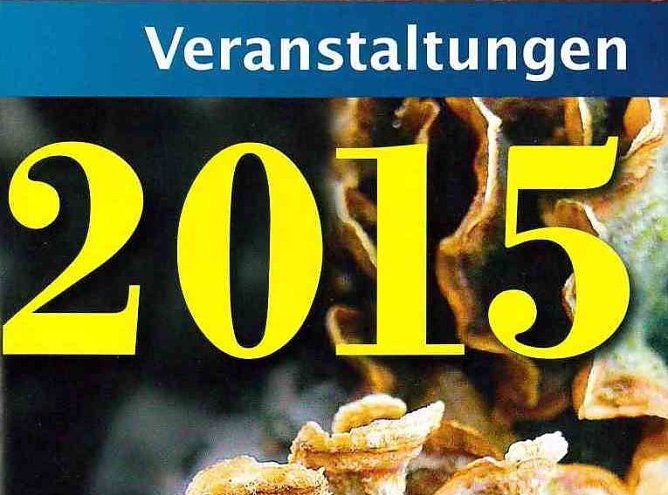 Cover (Foto: privat) Cover (Foto: privat)