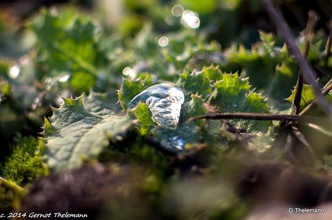Wetterbild (Foto: Gernot Thelemann) Wetterbild (Foto: Gernot Thelemann)