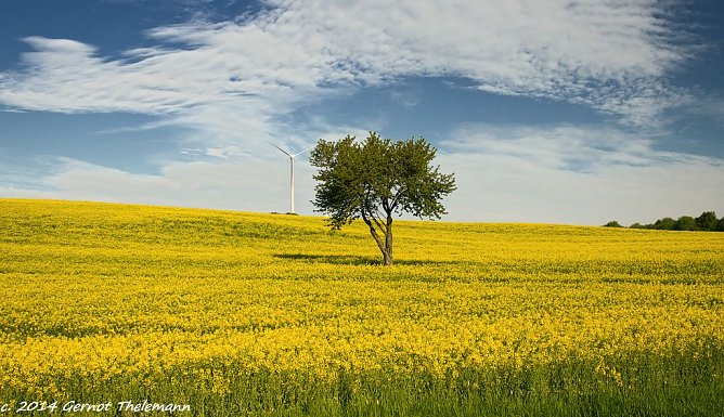 Wetterbild (Foto: Gernot Thelemann) Wetterbild (Foto: Gernot Thelemann)