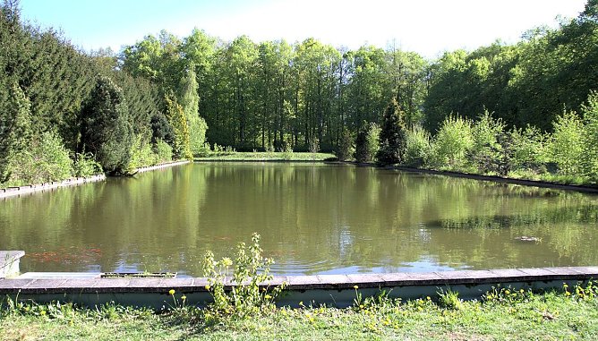 Wasserfl&auml;che auf dem weitl&auml;ufigen Gel&auml;nde (Foto: Peter Blei)