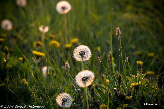 Wetterbild (Foto: Gernot Thelemann) Wetterbild (Foto: Gernot Thelemann)