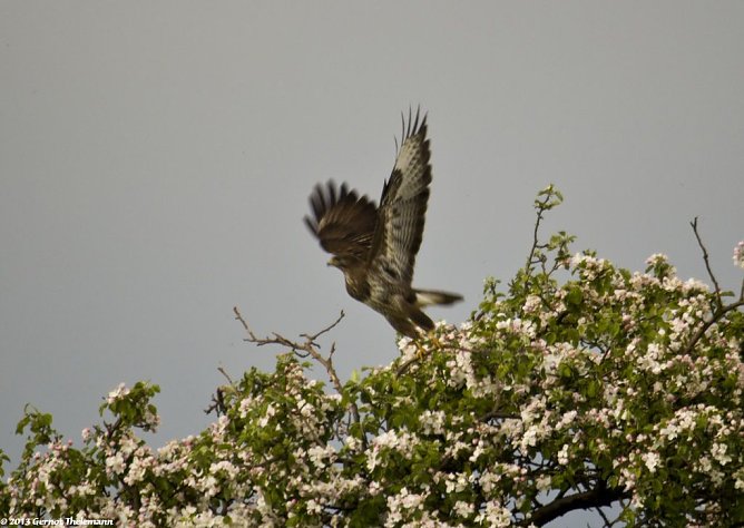 Wetter-Bild (Foto: Gernot Thelemann)