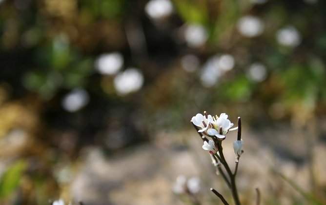 Wetter-Bild (Foto: Gernot Thelemann)