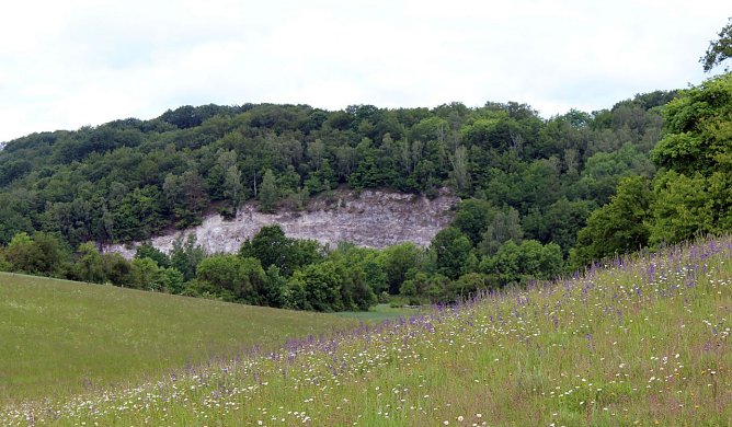 Naturschutzgebiet R&uuml;digsdorfer Schweiz (Foto: Naturpark S&uuml;dharz)