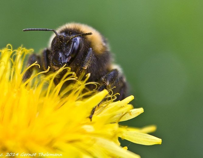 Wetter-Bild (Foto: Gernot Thelemann)