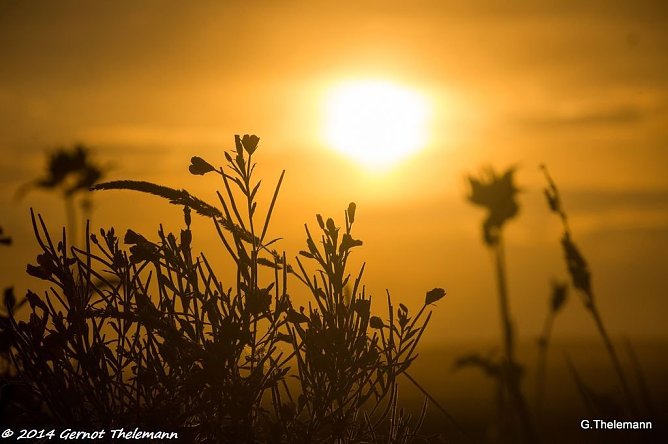 Wetter-Bild (Foto: Gernot Thelemann)