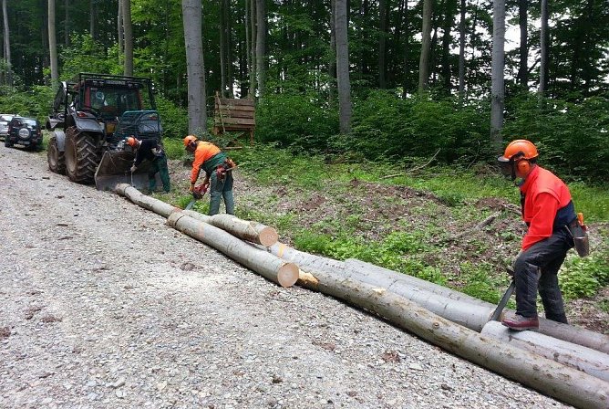 Noch viel zu tun. (Foto: Forstamt Bleicherode-S&uuml;dharz)