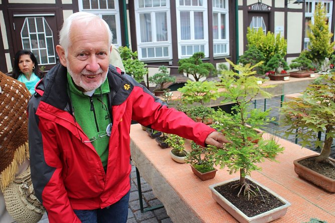 Klaus Leiding nennt &uuml;ber 300 Bonsai sein eigen, ein paar hat er mitgebracht (Foto: Angelo Glashagel)