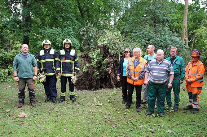 ie Aufr&auml;umaktion ist eine Gemeinschaftsarbeit mehrerer st&auml;dtischer &Auml;mter und der Feuerwehr. Insgesamt sind 30 Menschen im Einsatz. Hier ein Teil der Mitarbeiter  vor einer rund 70 Jahre alten umgebrochenen Kiefer im Stadtpark. (Foto: Patrick Grabe, Pressestelle Stadt Nordhausen)