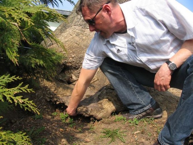 stadt ndh (Foto: stadt ndh)