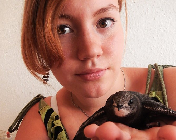 Anna Cieslaks Hand diente dem jungen Mauersegler als Startrampe. (Foto: Kurt Frank)