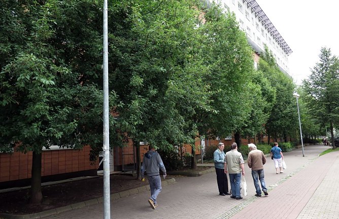 Viel Gr&uuml;n, wenig Licht in den Zimmern (Foto: nnz)