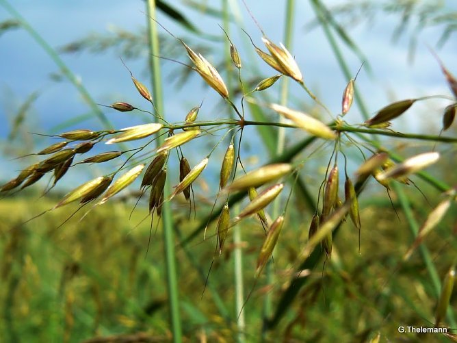 Wetter-Bild (Foto: Gernot Thelemann)