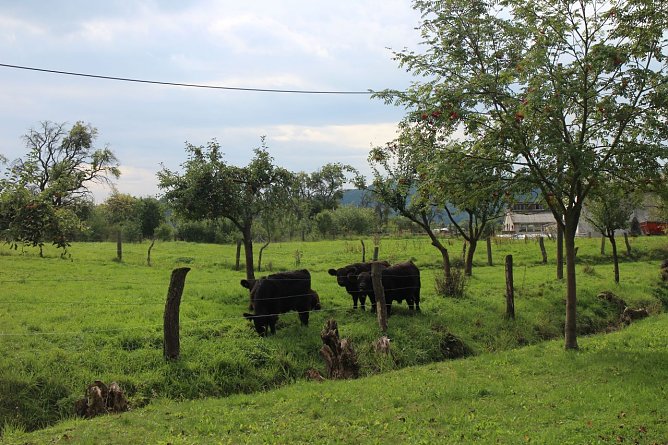 Spezialit&auml;ten von der eigenen Weide - in der Wolfsm&uuml;hle in Rodishain wurden heute Wirte ausgezeichnet, die auch regionale Spezialit&auml;ten f&uuml;hren (Foto: Angelo Glashagel)