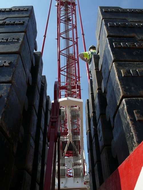 Ungew&ouml;hnliche Perspektive (Foto: nnz)