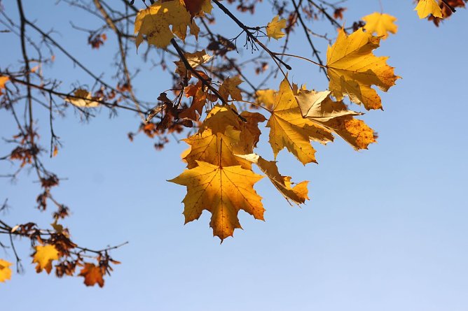 Wetterbild (Foto: Angelo Glashagel) Wetterbild (Foto: Angelo Glashagel)