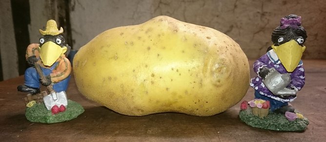 &Uuml;ber 550 Gramm (Foto: Ufermann)