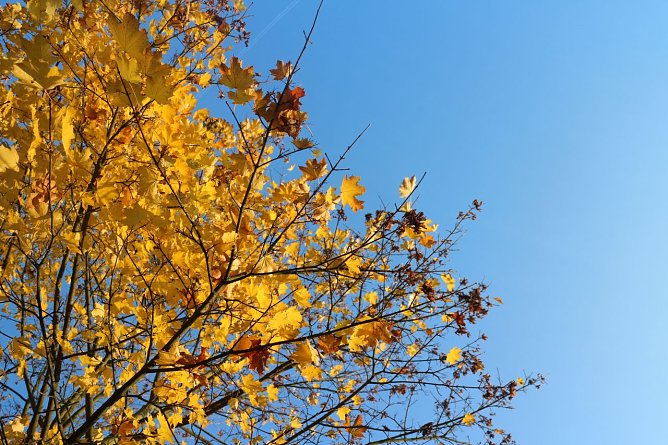 Wetterbild (Foto: Angelo Glashagel) Wetterbild (Foto: Angelo Glashagel)