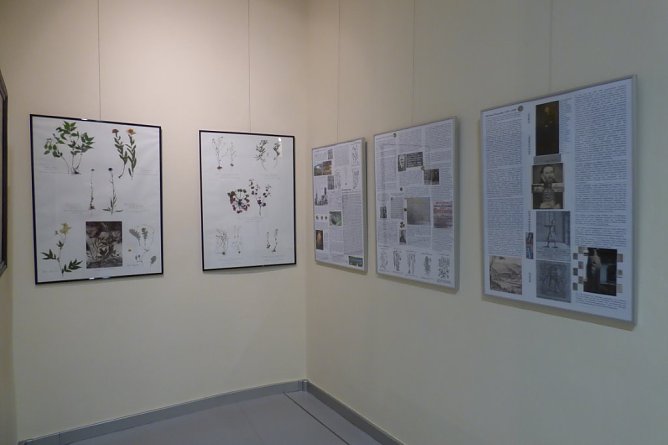 Nische mit den Tafeln f&uuml;r Neander und Thal (Foto: Heidelore Kneffel)