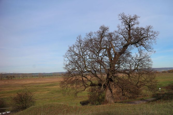 Wetterbild (Foto: Angelo Glashagel)