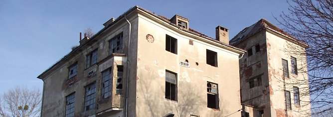 "Drei Steiff" wird fallen (Foto: Kurt Frank) "Drei Steiff" wird fallen (Foto: Kurt Frank)