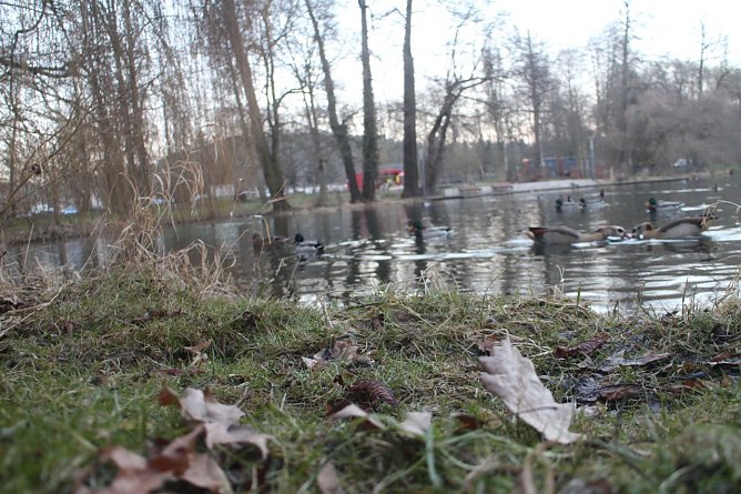 Wetterbild (Foto: Angelo Glashagel)