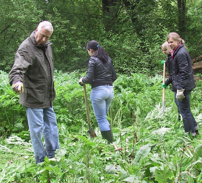 Arbeit im Park (Foto: J. Seifert) Arbeit im Park (Foto: J. Seifert)