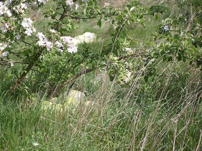 Natur pru (Foto: Häger) Natur pru (Foto: Häger)