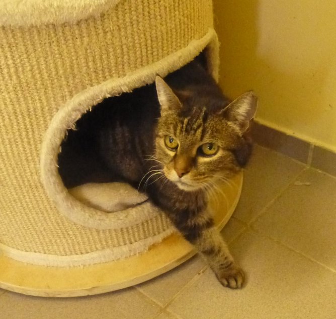 Tier der Woche: Ursula (Foto: Birgit Hellrung) Tier der Woche: Ursula (Foto: Birgit Hellrung)