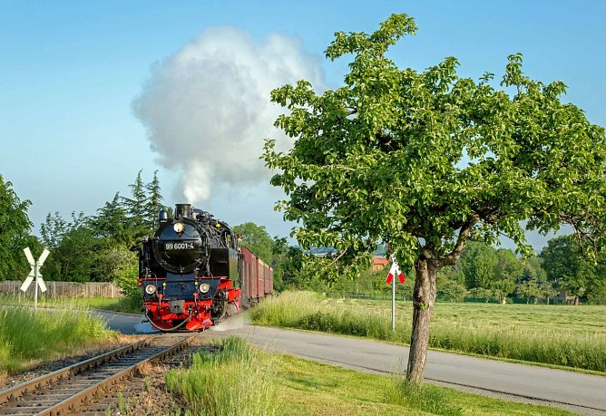 25 Jahre Volldampf in Freiheit: HSB-Dampflok 99 6001 wird vom 30. M&auml;rz bis zum 6. April als besondere Botschafterin der Harzregion sowie der Bundesl&auml;nder Sachsen-Anhalt und Th&uuml;ringen in mehreren westeurop&auml;ischen Gro&szlig;st&auml;dten unterwegs sein (Foto: HSB/Dirk Bahnsen)