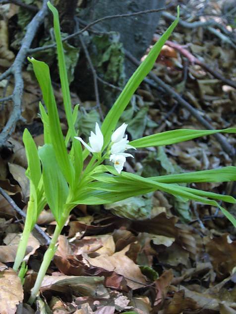 karstwanderung (Foto: kartswanderung) karstwanderung (Foto: kartswanderung)