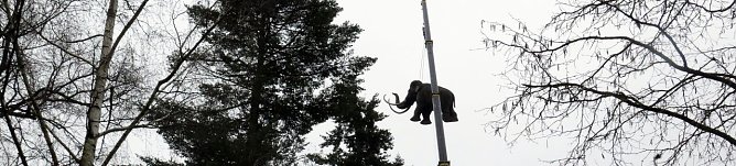 Das Mammut am Haken (Foto: nnz)