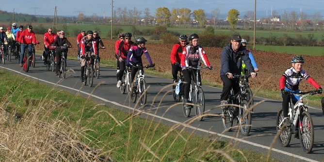 Der Nordh&auml;user ADFC auf Exkursion in der Goldenen Aue (Foto: Lothar Burkhradt)