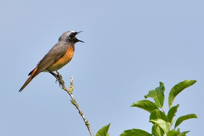 Am kommenden Wochenende sollten Wanderfreunde in Nordhausen voll auf ihre Kosten kommen (Foto: Pressestelle Landratsamt)