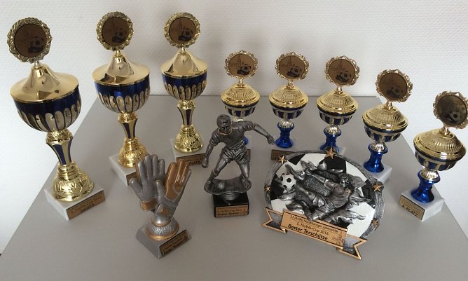 Die Nordthüringer Werkstätten laden zum 5. NOWE Cup (Foto: Nordthüringer Lebenshilfe) Die Nordthüringer Werkstätten laden zum 5. NOWE Cup (Foto: Nordthüringer Lebenshilfe)