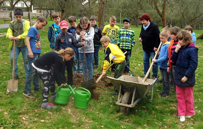 Kinder der Sprachheilschule pflanzen einen Baum (Foto: Schullandheim Harzrigi)