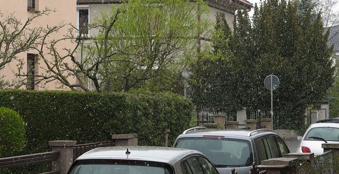 Schneeflocken am Morgen (Foto: nnz)