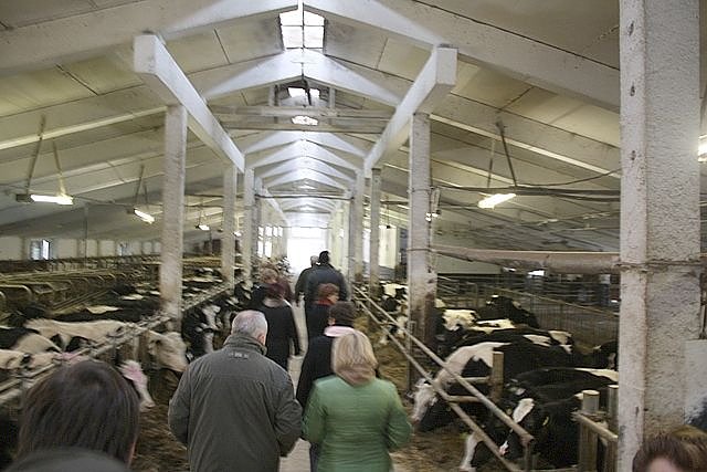 Projekt Harzungen (Foto: LEADER) Projekt Harzungen (Foto: LEADER)