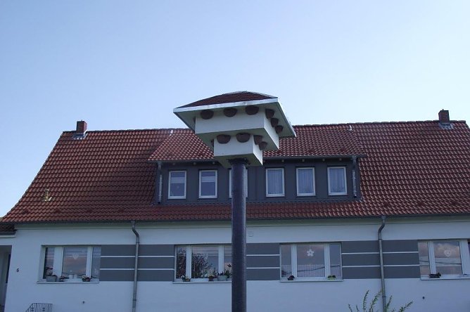 in Schwalbenhaus f&uuml;r insgesamt 20 Paare baute Dieter G&ouml;bel in M&uuml;nchenlohra (Foto: Kurt Frank)