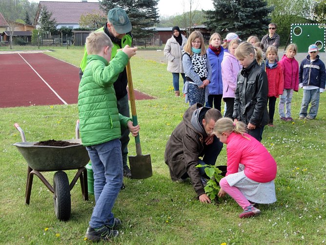 Baum pflanzen in Ilfeld (Foto: Alexandra G&uuml;nther)